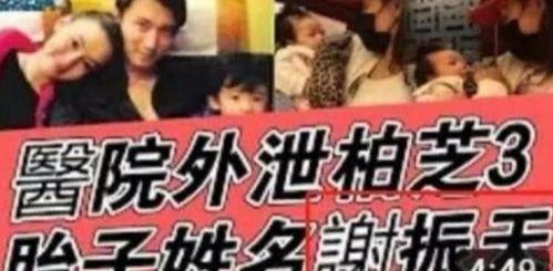 娱乐圈吃瓜群众怎么加入,如何轻松加入瓜圈狂欢