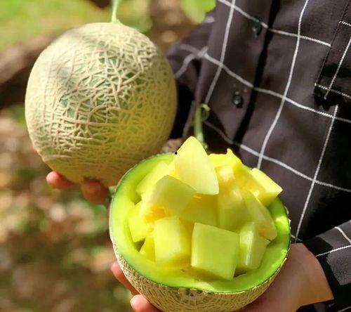 最近娱乐圈有什么瓜吃么,揭秘近期热点事件与明星动态