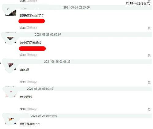 娱乐吃瓜酱文件传输,揭秘文件传输背后的精彩故事