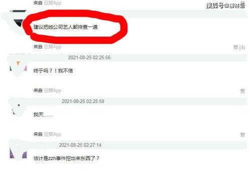 娱乐吃瓜酱文件传输,揭秘文件传输背后的精彩故事