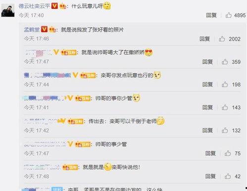 吃瓜评论区娱乐圈,揭秘明星幕后故事与真实情感