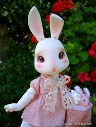 娱乐吃瓜酱兔圆圆