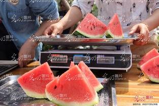 娱乐吃瓜酱重庆山东,揭秘重庆与山东的美食文化碰撞 第1张 娱乐吃瓜酱重庆山东,揭秘重庆与山东的美食文化碰撞 第1张