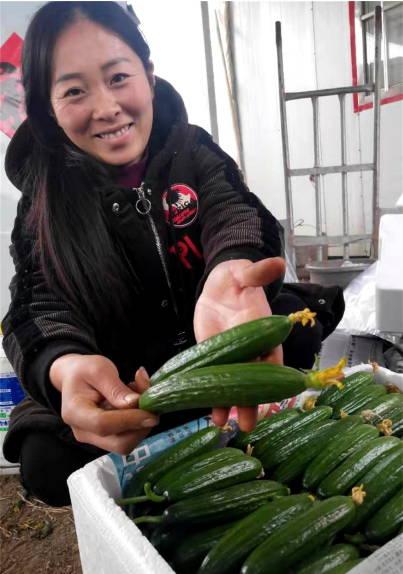 娱乐吃瓜酱重庆山东,揭秘重庆与山东的美食文化碰撞 第2张 娱乐吃瓜酱重庆山东,揭秘重庆与山东的美食文化碰撞 第2张