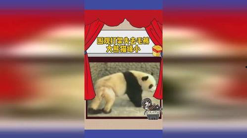 缘分娱乐吃瓜 第1张 缘分娱乐吃瓜 第1张