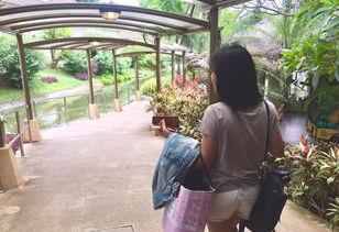 缘分娱乐吃瓜 第3张 缘分娱乐吃瓜 第3张