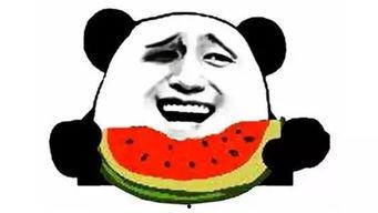 吃瓜时刻,吃瓜时刻背后的真相与八卦 第1张 吃瓜时刻,吃瓜时刻背后的真相与八卦 第1张