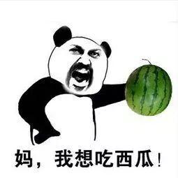 吃瓜时刻,吃瓜时刻背后的真相与八卦 第2张 吃瓜时刻,吃瓜时刻背后的真相与八卦 第2张