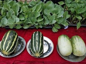 娱乐吃瓜壁纸高清图片,一图览尽娱乐圈风云变幻  第1张