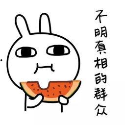 娱乐吃瓜酱完形填空,揭秘娱乐圈幕后故事